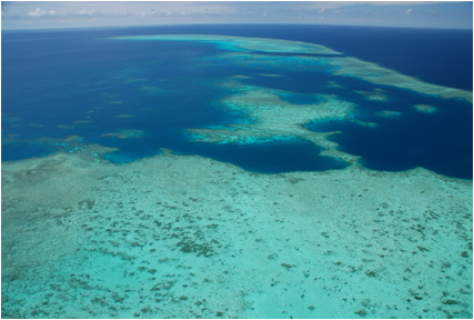 : C:\Users\akirakamikou\Pictures\2016.06.04-0.6 carins\Great Barrier Reef 8.JPG